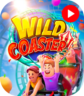 Wild-Coaster-Popular-Time.png